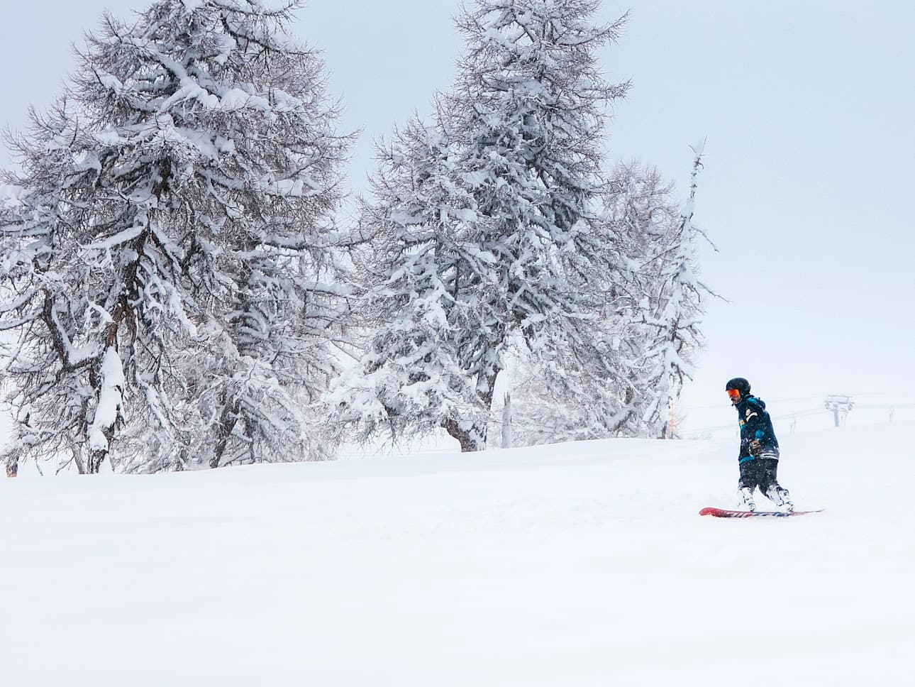 Alpine Experience 28