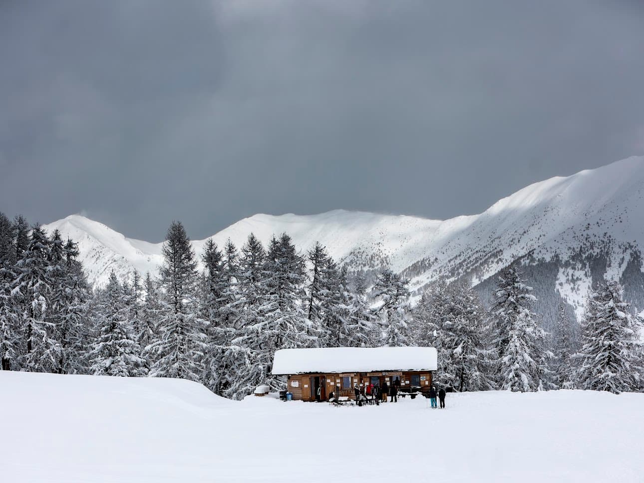 Alpine Experience 18