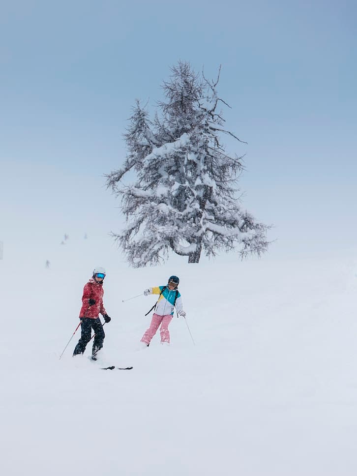 Alpine Experience 12