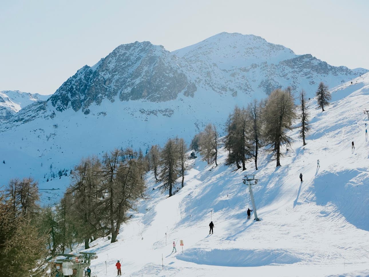 Alpine Experience 33